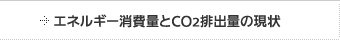 �G�l���M�[����ʂ�CO2�r�o�ʂ̌���