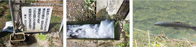 トンネル湧水の灌漑用水利用の様子