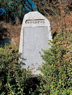 �C���[�W