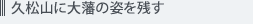 久松山に大藩の姿を残す