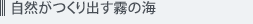 自然がつくり出す霧の海
