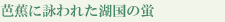 芭蕉に詠われた湖国の蛍