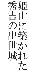 姫山に築かれた秀吉の出世城