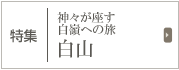 ���W