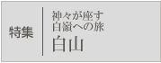 ���W