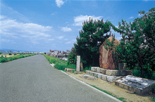 �C���[�W