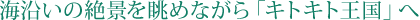 �C�����̐�i�𒭂߂Ȃ���u�L�g�L�g�����v��