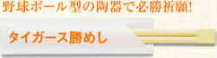 �싅�{�[���^�̓���ŕK���F��!&nbsp;�^�C�K�[�X���߂�