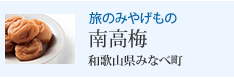 旅のみやげもの 南高梅 和歌山県みなべ町