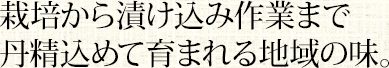 栽培から漬け込み作業まで丹精込めて育まれる地域の味。