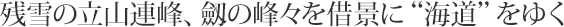 �c��̗��R�A��A���̕�X���،i�Ɂg�C���h���䂭