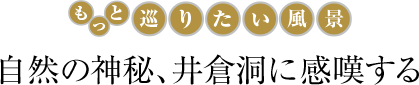 自然の神秘、井倉洞に感嘆する
