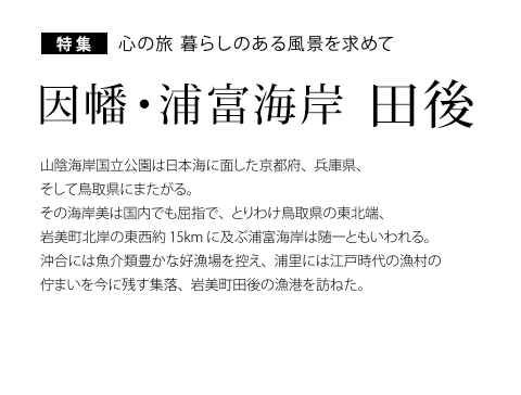 ���W �S�̗� ��炵�̂��镗�i�����߂� �����E�Y�x�C�� �c��