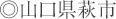 �R�������s