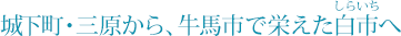 �鉺���E�O������A���n�s�ŉh�������s��