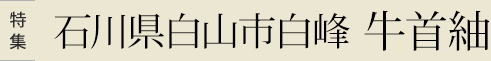 特集 石川県白山市白峰 牛首紬