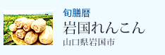 旬膳暦 岩国れんこん 山口県岩国市