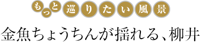 金魚ちょうちんが揺れる、柳井