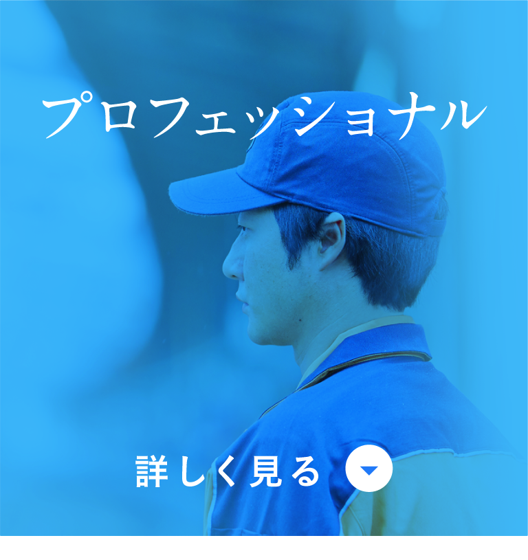 プロフェッショナル