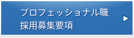 プロフェッショナル職採用 募集要項