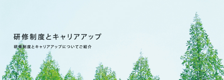 研修制度とキャリアアップ
