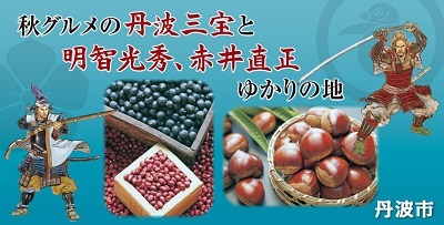 丹波市「秋グルメの丹波三宝と明智光秀、赤井直正ゆかりの地」のラッピング 丹波市「秋グルメの丹波三宝と明智光秀、赤井直正ゆかりの地」のラッピング