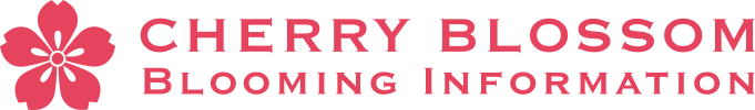 Cherry Blossom Blooming Information