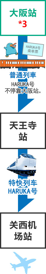 回程 : 大阪 → 关西机场