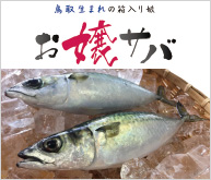 Aquaculture business
