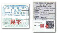 Temporary visitor's visa Temporary visitor's visa