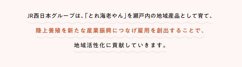 JR西日本グループは、「とれ海老やん」を瀬戸内の地域産品として育て、陸上養殖を新たな産業振興につなげ雇用を創出することで、地域活性化に貢献していきます。