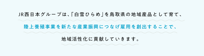 JR西日本グループは、「白雪ひらめ」を鳥取県の地域産品として育て、陸上養殖事業を新たな産業振興につなげ雇用を創出することで、地域活性化に貢献していきます。