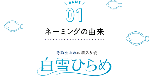 ネーミングの由来 鳥取生まれの箱入り娘 白雪ひらめ