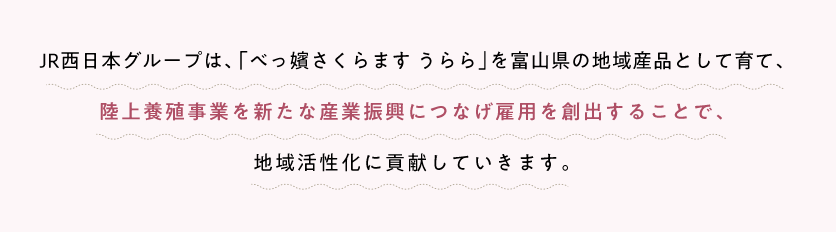 JR西日本グループは、「べっ嬪さくらます うらら」を富山県の地域産品として育て、陸上養殖事業を新たな産業振興につなげ雇用を創出することで、地域活性化に貢献していきます。