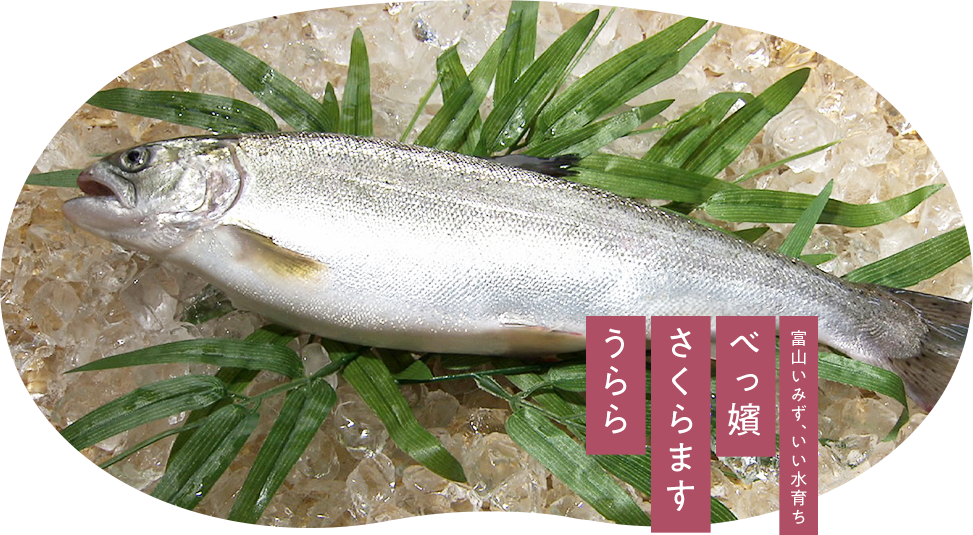 富山いみず、いい水育ち べっ嬪さくらますうらら