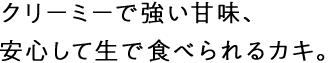 クリーミーで強い甘味、安心して生で食べられるカキ。