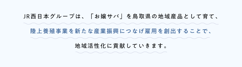 JR西日本グループは、「お嬢サバ」を鳥取県の地域産品として育て、陸上養殖事業を新たな産業振興につなげ雇用を創出することで、地域活性化に貢献していきます。