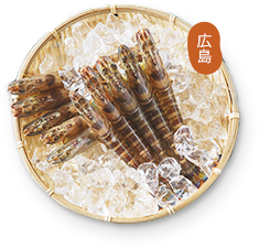 塩田わんぱく車海老 瀬戸内産 とれとれぴっちぴち とれ海老やん