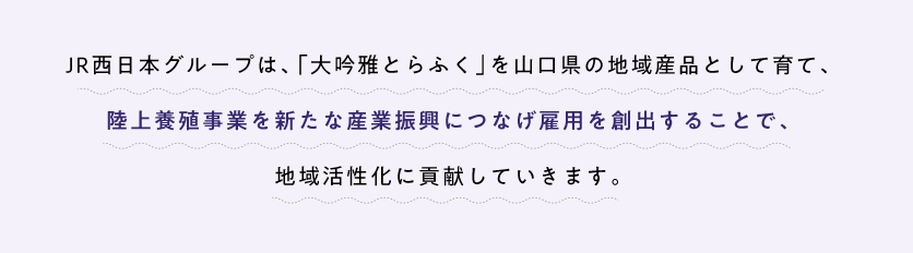 JR西日本グループは、「大吟雅とらふく」を山口県の地域産品として育て、陸上養殖事業を新たな産業振興につなげ雇用を創出することで、地域活性化に貢献していきます。