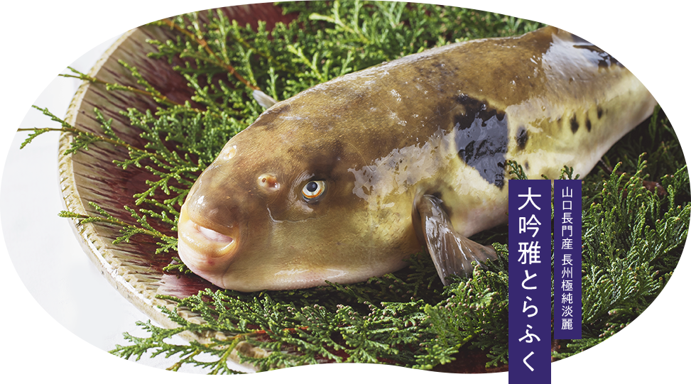 山口長門産 長州極純淡麗 大吟雅とらふく